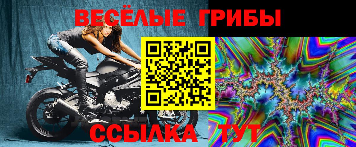 Галлюциногенные грибы мицелий Ступино