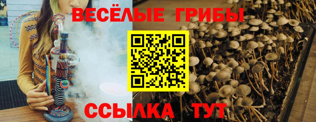 Галлюциногенные грибы мухоморы  где можно купить   Вход с VPN  Ступино  Галлюциногенные грибы Psilocybe 